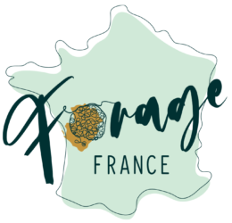 Forage France